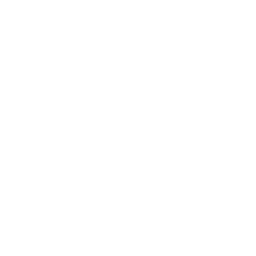 professional_consulting_2